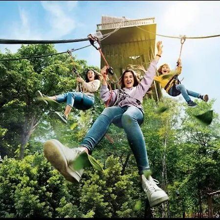 بيت للعطل 44 دربي