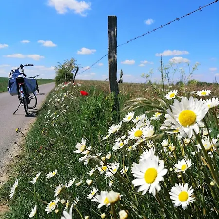 Сasa de vacaciones 44 *